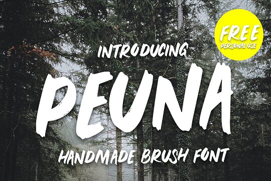 Peuna Brush