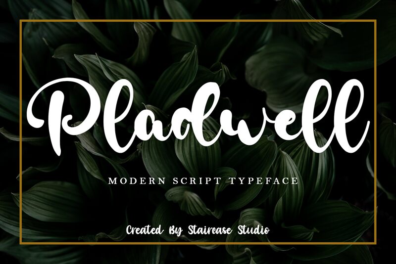 Pladwell