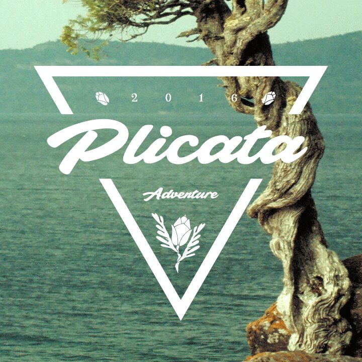 Plicata