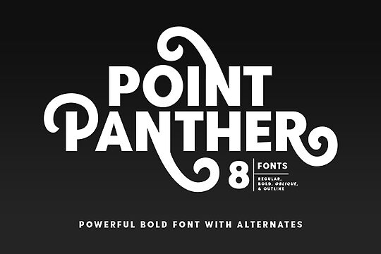 Point Panther