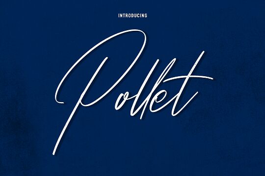 Pollet