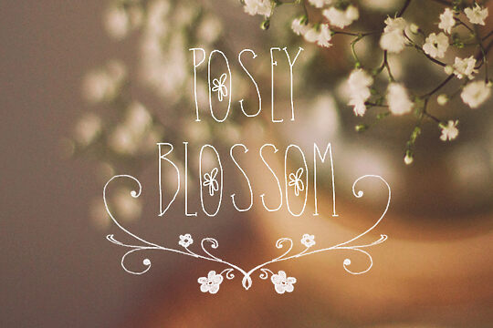 Posey Blossom