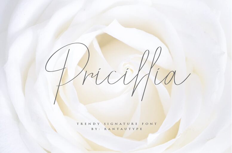 Pricillia