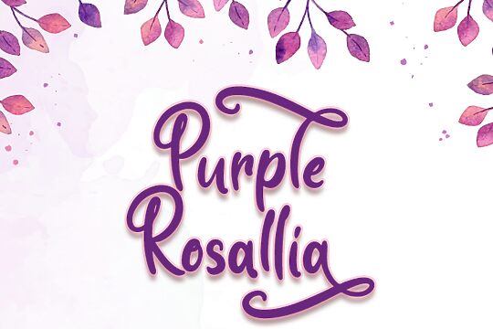Purple Rosallia