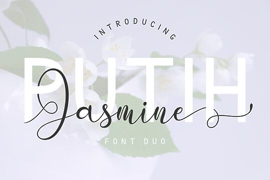 Putih Jasmine