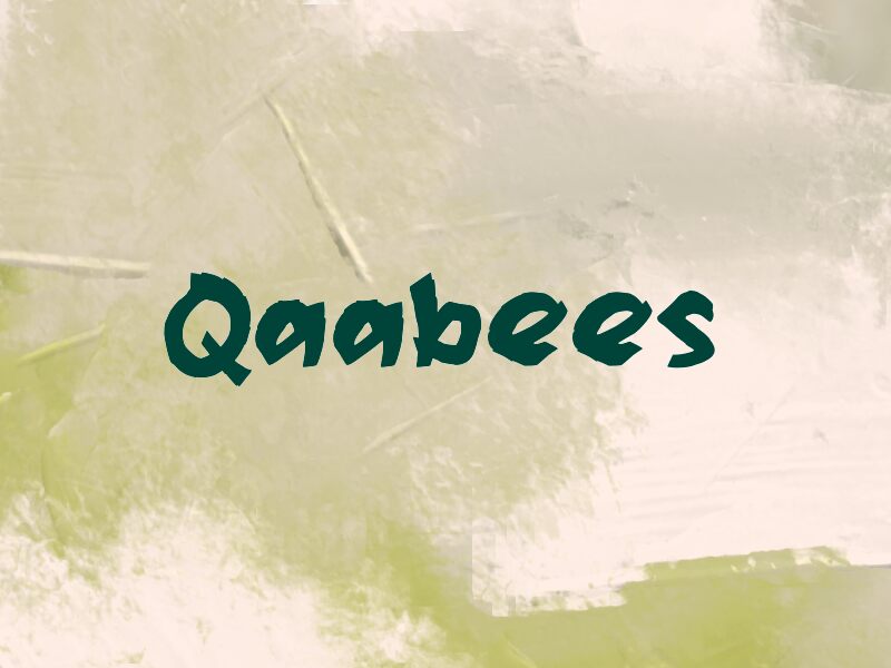 Qaabees