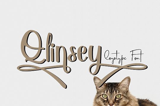 Qlinsey