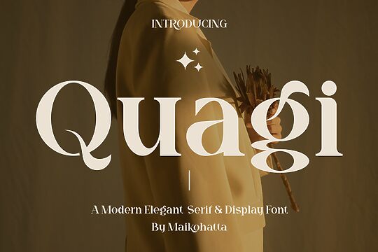 Quagi