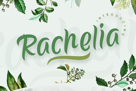 Rachelia
