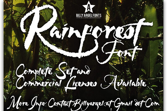 Rainforest