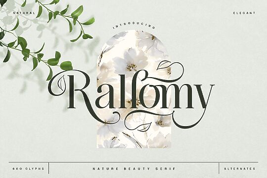 Rallomy