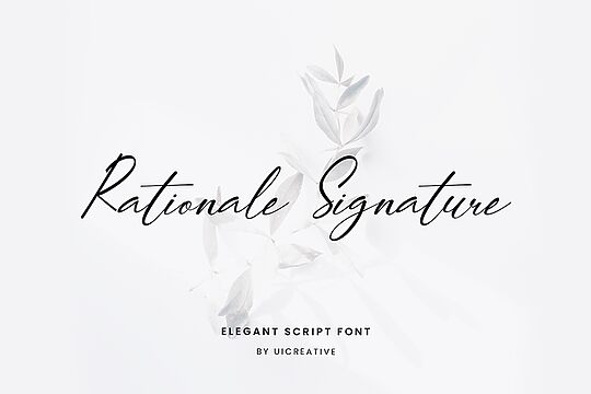 Rationale Signature