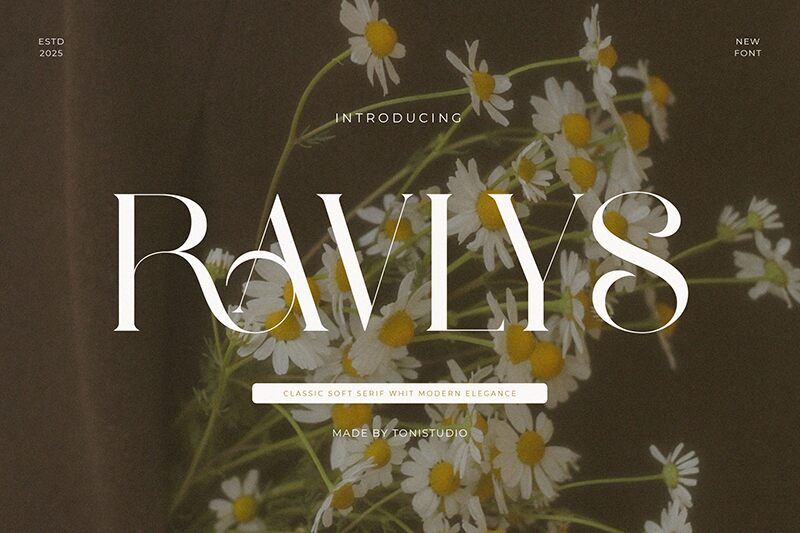 Ravlys