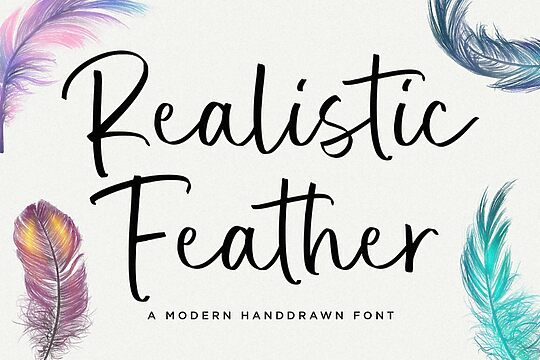 Realistic Feather