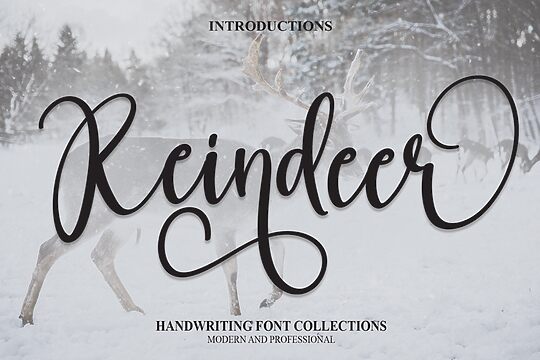 Reindeer