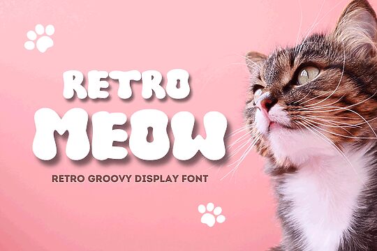 Retro Meow