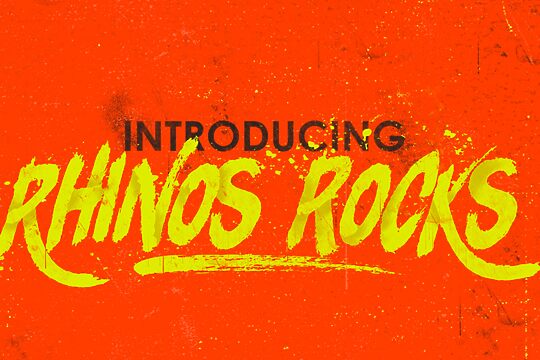 Rhinos rocks