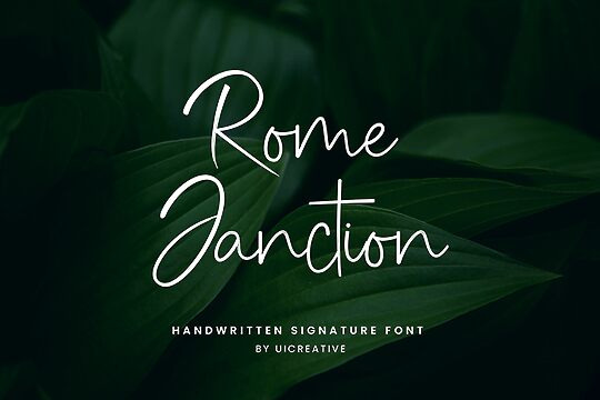 Rome Janction