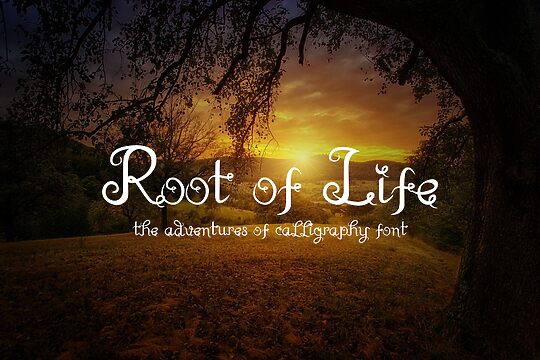 Root Of Life