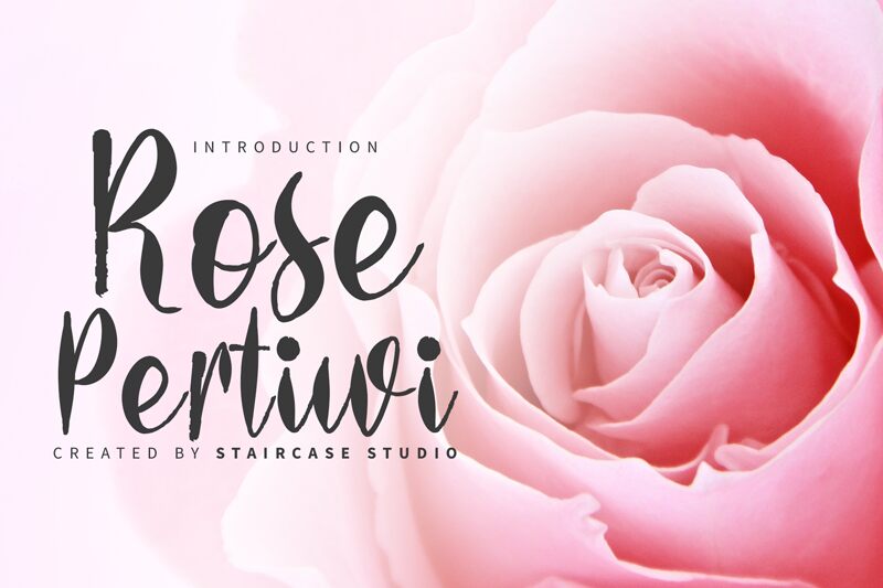 Rose Pertiwi