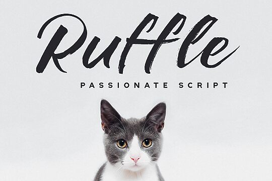 Ruffle Script