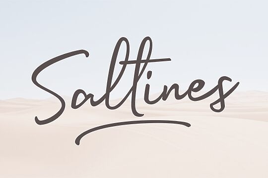 Saltines