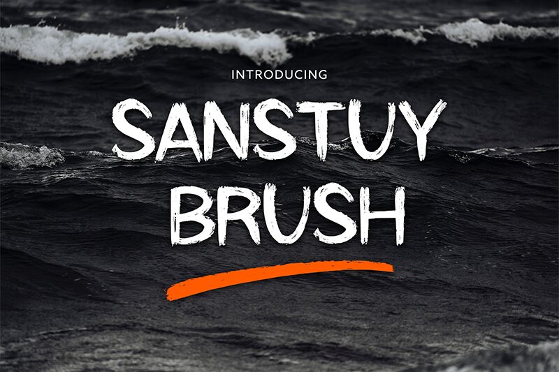 Sanstuy Brush