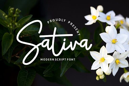 Sativa