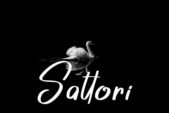 Sattori