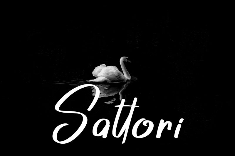 Sattori