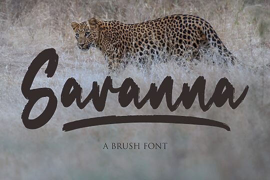 Savanna