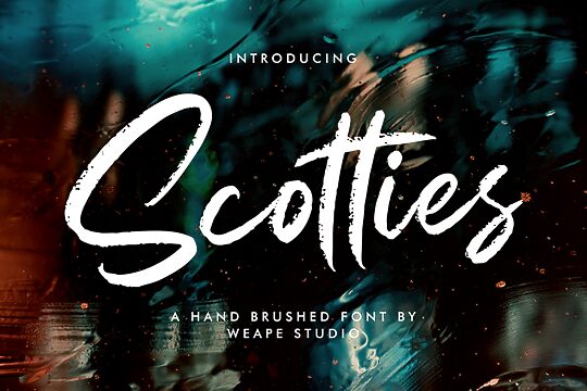 Scotties