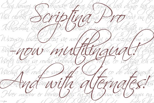 Scriptina Pro