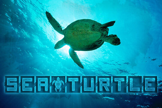 Sea&Turtle