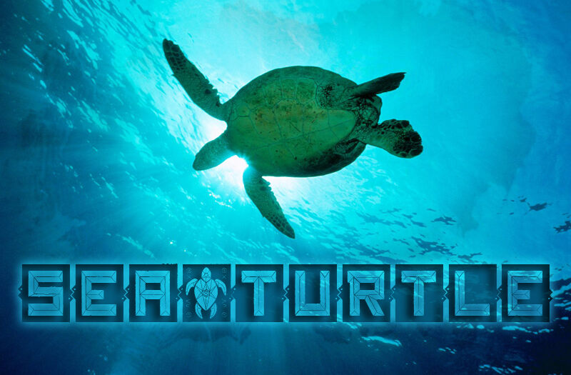 Sea&Turtle