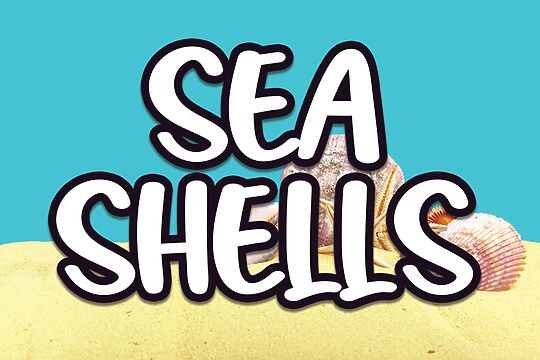 Sea Shells