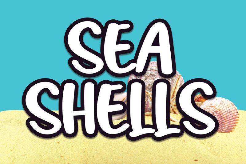 Sea Shells