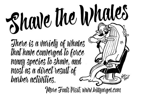 Shave the Whales