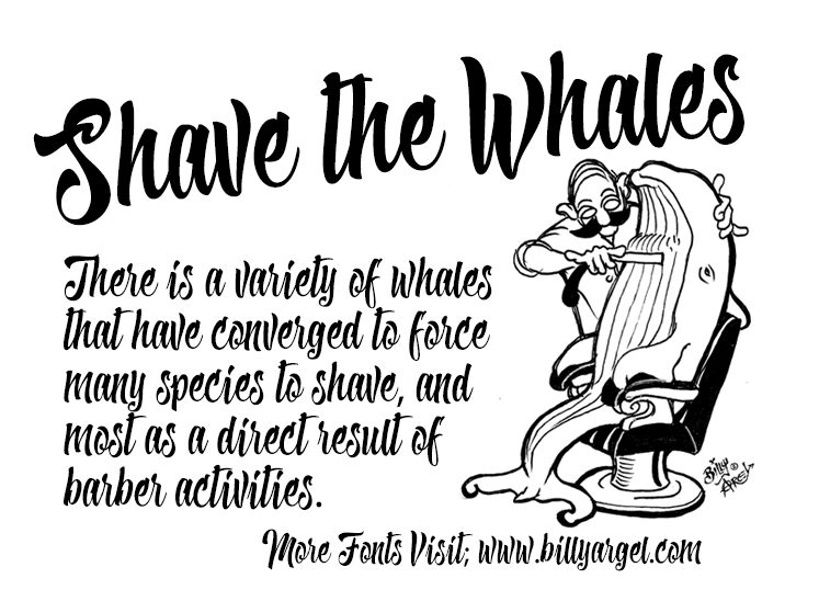 Shave the Whales