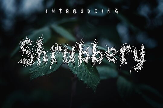 Shrubbery