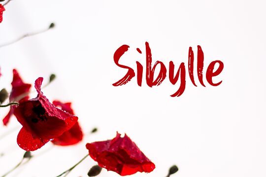 Sibylle