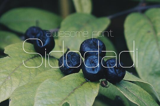 Sidodadi