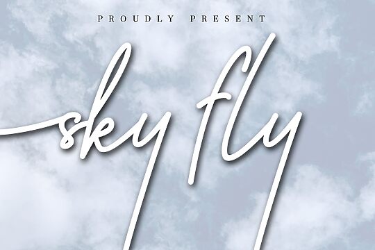 Sky Fly Script