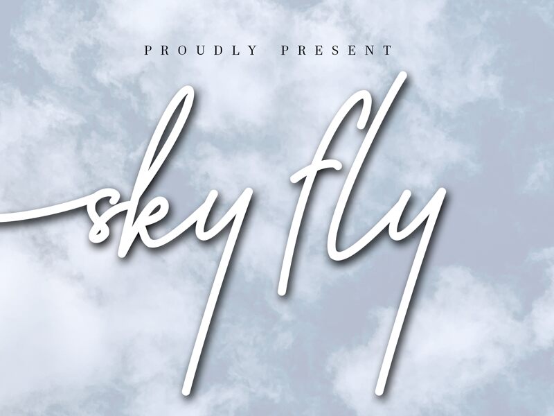 Sky Fly Script