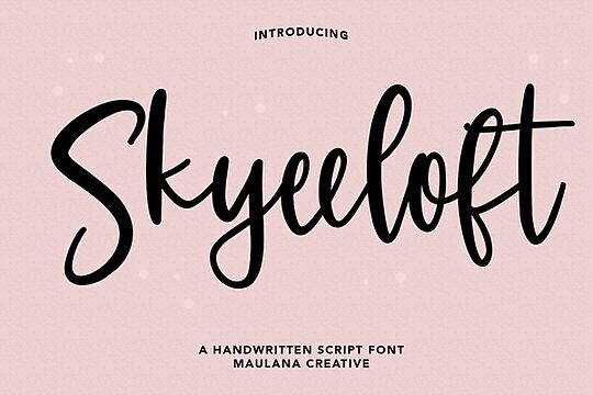 Skyeeloft