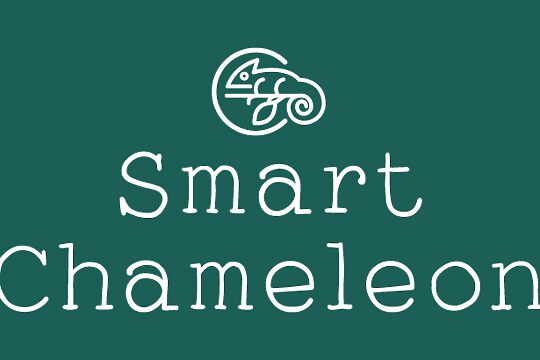 Smart Chameleon