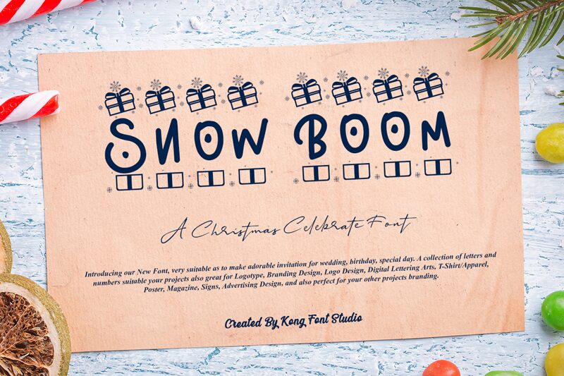 Snow Boom