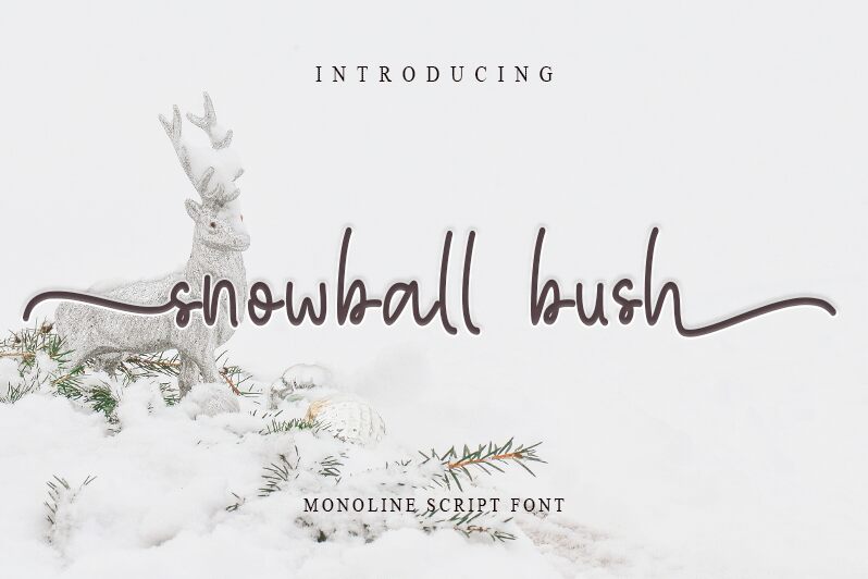 Snowball Bush