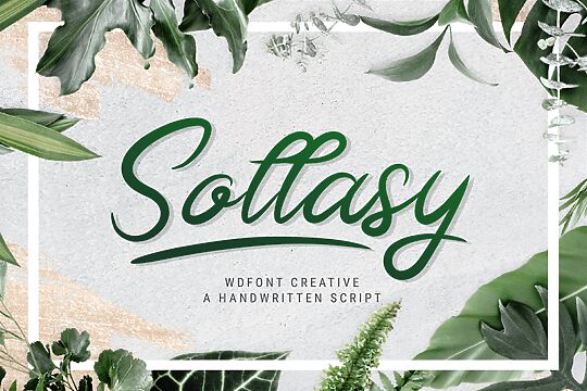 Sollasy