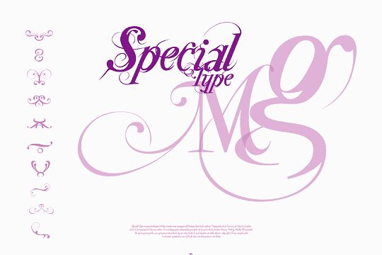 Special Type